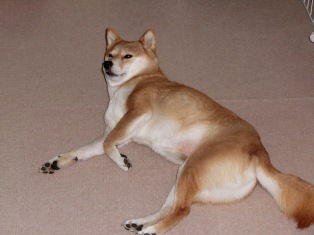起きてるよ