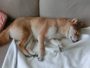 眠い