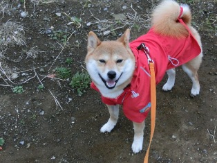 なぁに