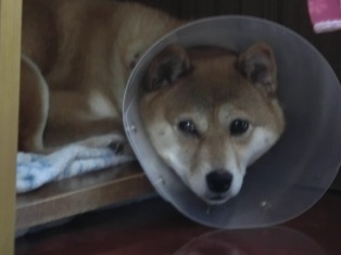 うん、少し重い