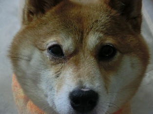 順調なんでしょうか