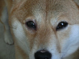 楽になったの