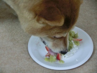 こぼさず上手に食べてます