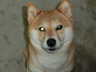 抜糸したら絶好調なの