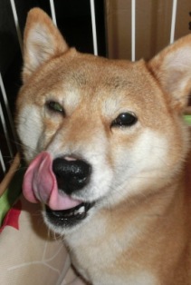 つらいのかな