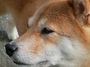 なに思う?
