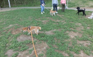 広々