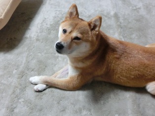 もう一息
