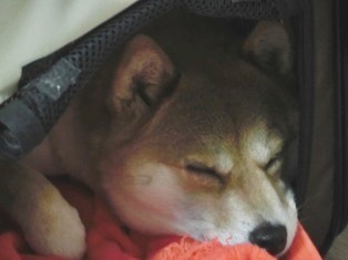 痛くない?