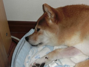 苦しくない?
