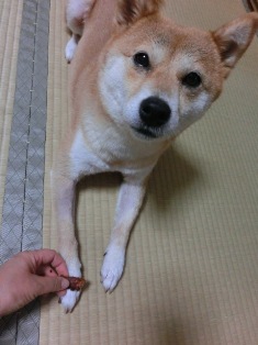 いらなくないの