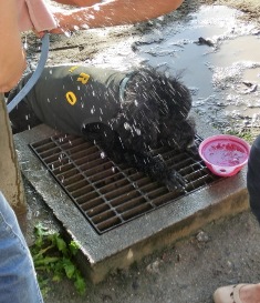 気持ちいい~