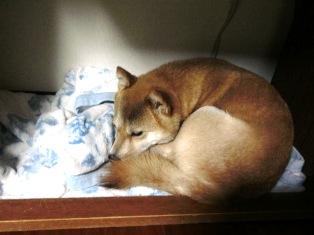 なんとなく