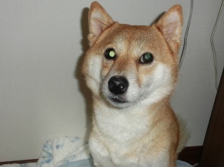 およっ!