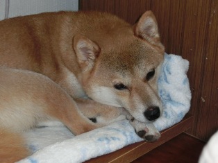 ぼぉ~