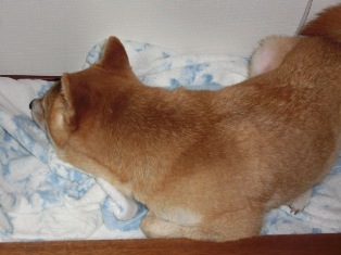どて~