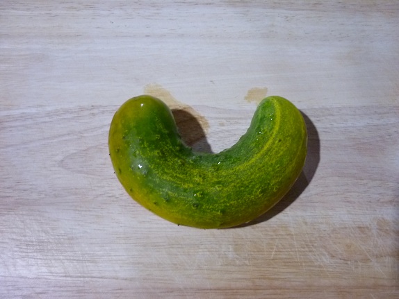 130126.jpg