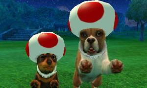 dogs0451.jpg