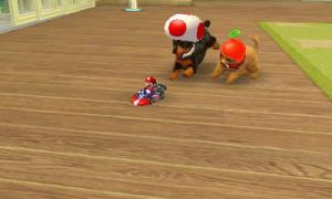 dogs0452.jpg