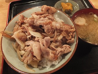 ekoda7.jpg