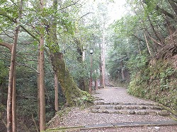 fukuchiyama33.jpg