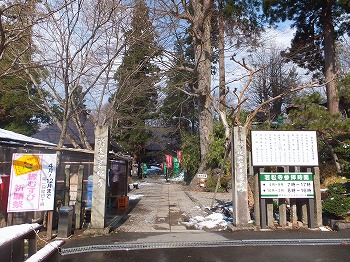 tendo138.jpg