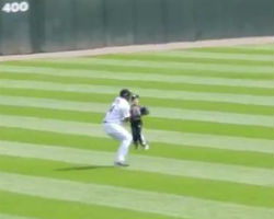 Kid runs on field during White Sox game
