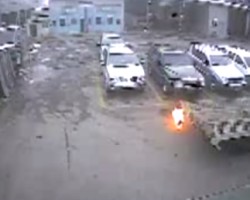 burning dog
