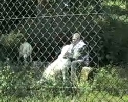 Meet the wolfman