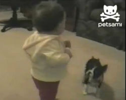 Babys first steps interrupted by dog poop