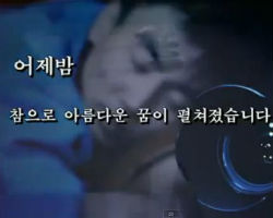 North Korean dreams of destruction of USA