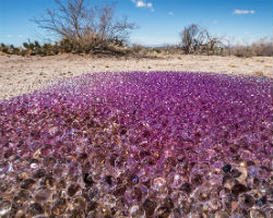 Mysterious, purple spheres found in the desert
