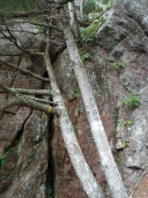 20140920mizugaki01