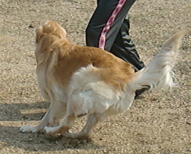 CIMG4454.jpg