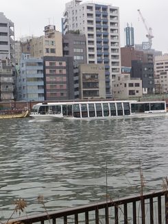 IMGP0300.jpg
