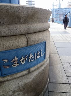 IMGP0306.jpg