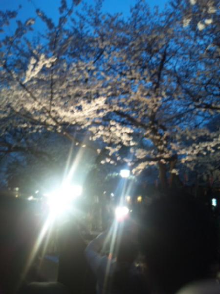 20130323234634650.jpg