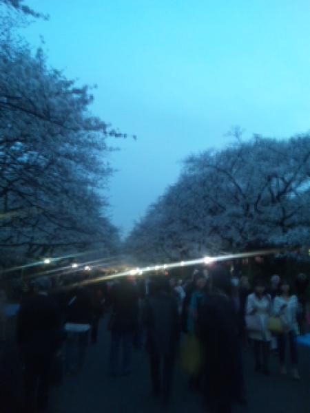 20130323234641756.jpg