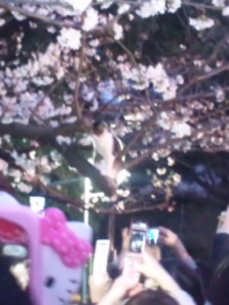 20130323234646265.jpg