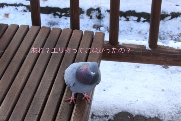 1本木門9