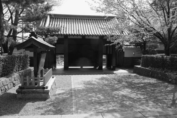 sIMG_4689.jpg