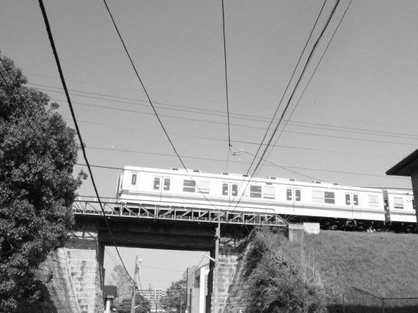 sIMG_4878_20130505133247.jpg