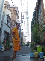 BL131113夢舞い11-1PA130177