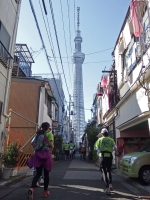 BL131113夢舞い11-3PA130176