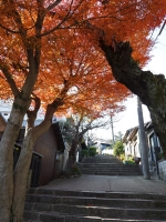 BL131204生駒からラン帰宅1P1020147