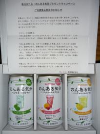 のんある気分3本セット