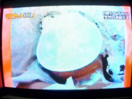 かすみりさ