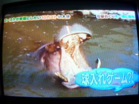 『ぷっ』すま ツヨシにしてあげたい10のコト in 大分