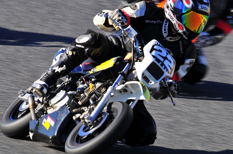 DSC_4501_201312072145272b2.jpg