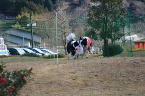 130127002mt.jpg